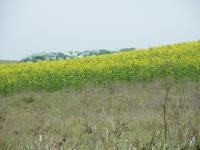 Na tomto místě byl zeltenlágr pro vězně z Osvětimi