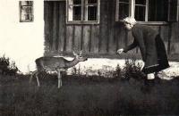 08 Maminka se srnkou Lilinou v r. 1949 na Zlaté Studně
