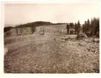 Pohled na vypálené paseky v roce 1945. Z chalup zůstaly stát jen pece, louka vlevo je dnes již zarostlá lesem.