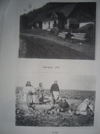 Obrázky z Volyně II.