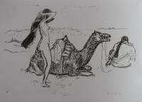 kresba z cest po Africe