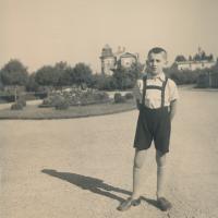 Bratr Herty Coufalové, Harry