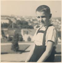 Bratr Herty Coufalové, Harry