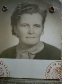 Anna Straková, 60. léta
