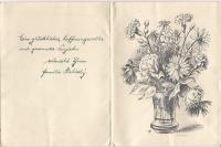 Dopis J.J.Pály do koncentračního tábora