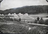 Javoříčko v roce 1951 po novém vybudování