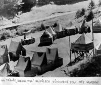 Na táboře BIKINI 1946, Na kůlech je Gavendův stan
