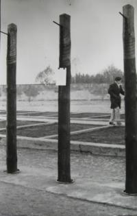 Oplocení v Sachsenhausenu