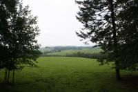 Místo převodů - Červené Dřevo