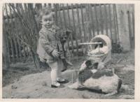 Alena se psem Dodo v Drachkově, 1941