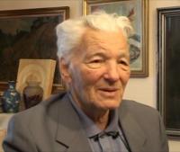 Emil Sebeşan in 2010