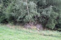 I dnes lze dobře rozpoznat, kde stály domy v osadě Urlich