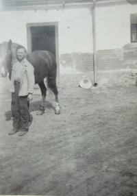 Hugo Drásal ve Lhotě na statku u Hrutků v roce 1947