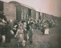 The expulsion of Germans in Rýmařov (the train station)