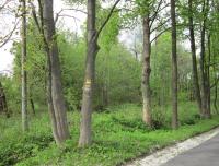 Místo kde stál dům, kde prožil dětství Helmut Bartsch