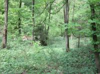 Místo kde stála pila Josefa Becka v Nových Vilémovicích