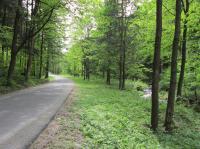 Místo kde stál mlýn Brozik a kde se narodil Helmut Bartsch