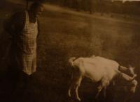 Portrét babičky Iva Středy Terezie Žilíkové, majitelky chalupy Na Pohodlí, v níž byli ubytováni a vysílali depeše kpt. Sokolovský a radistka Vinogradová