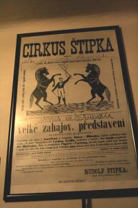Plakát na představení Cirkusu Štipka
