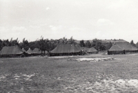 Americký tábor v Borském parku 1945