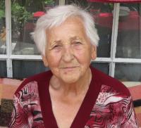 Dagmar Hanzlová v roce 2013