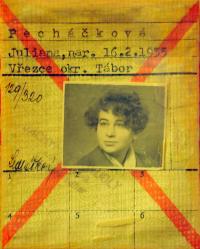 Průkazka do Jáchymovských dolů