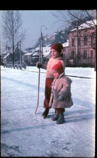 Bibiana Wallnerová (1963)