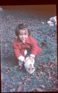 Bibiana Wallnerová (1963)