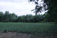 The borderline between Pornóapáti (Hungary) and Deutsch Schützen (Austria)