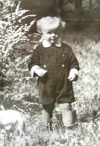 Zdeněk Navrátil, childhood