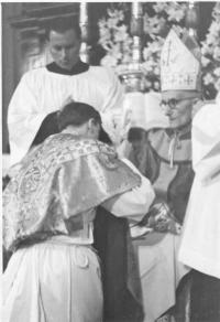 7m - Kněžské svěcení II