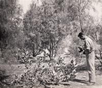Jan Jeník v Kábulu v poloparku - cca 1961