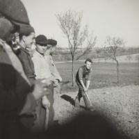 Děti tzv. kulaků, kteří byli vyloučeni ze středních zemědělských škol a  v roce 1951 posláni na práci na státní statek Javorník - hospodářství Vlčice