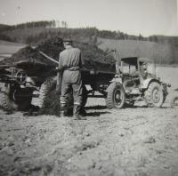 Na farmě ve Vlčicích