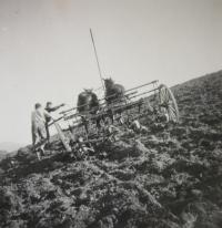 Na farmě ve Vlčicích