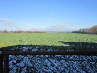 Polnosti Jana Sklenáře