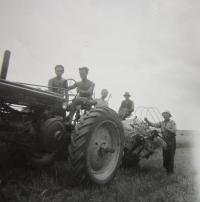 Bratři Sklenářové při práci na poli v roce 1949