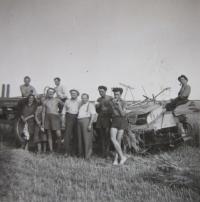 Při sklizni v roce 1947  