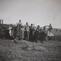 Při sklizni v roce 1947  