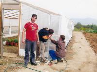 V Albánii při léčbě drogově závislých, rok 2007