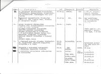 Action plan for the border guards of the Pan-European Picnic (Page 3)