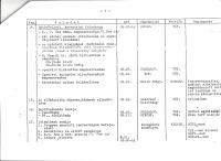 Action plan for the border guards of the Pan-European Picnic (Page 4)