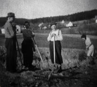 Zahrnování protitankových příkopů u Krhové - Jehličné I., Anna úplně vpravo, 1945