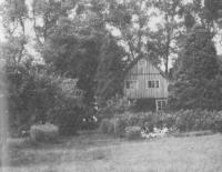 Rosinkawiese in Summer 1979