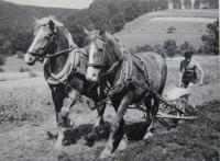 Jan Vaňourek při práci na poli