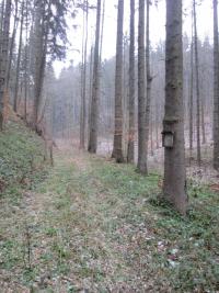 The place in the forest near Kosov where the family was hiding during the liberation fighting in May 1945