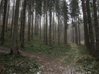 Místo v lese u Kosova, kde se rodina ukrývala před osvobozujícími boji v květnu 1945