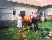 The Nováks with their cow Barča