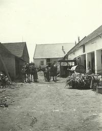 Dům rodiny Suchánkovy v Mušově