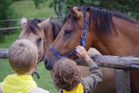 Návštěva Miroslava Surovce se skautským táborem 24. července 2014